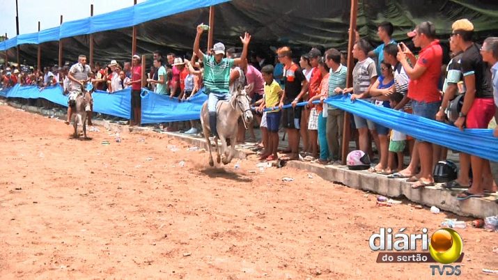 Tradicional Corrida De Jegues No Carnaval De Bom Jesus Atrai Milhares